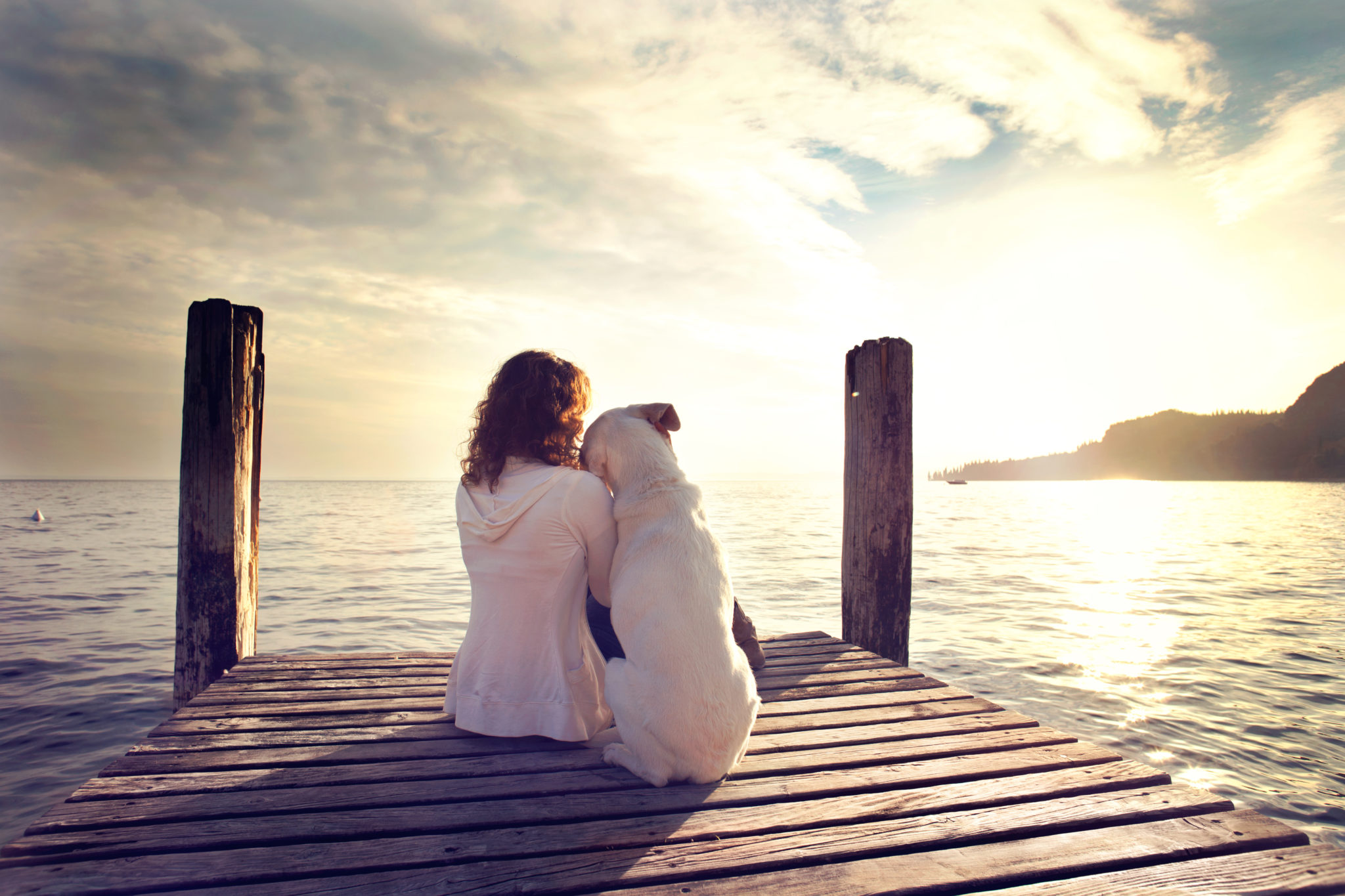 ponte dellarcobaleno canva-dog-rests-gently-on-his-masters-shoulder-while-looking-view-scaled